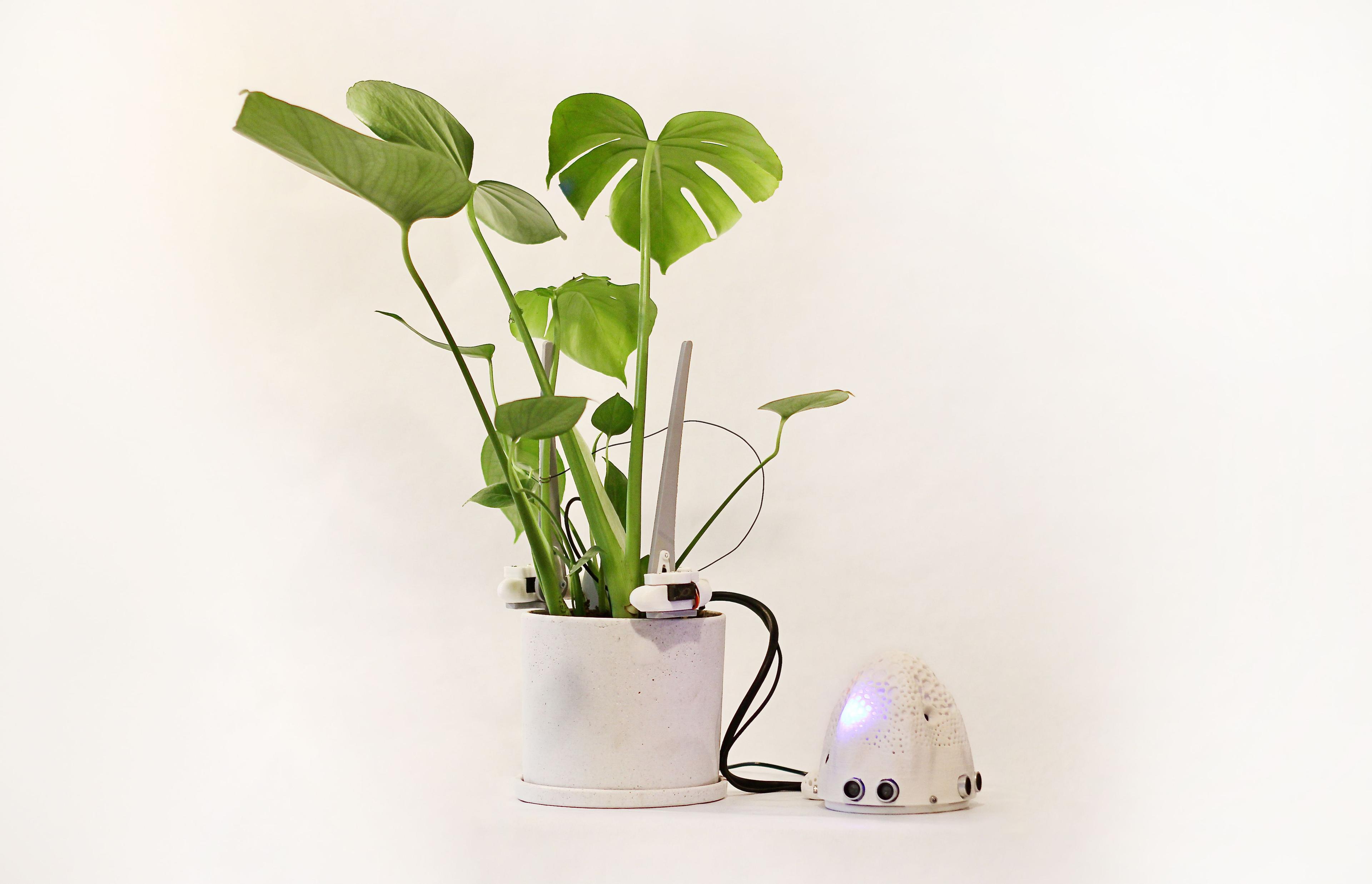 expositor María Castellanos & Alberto Valverde image